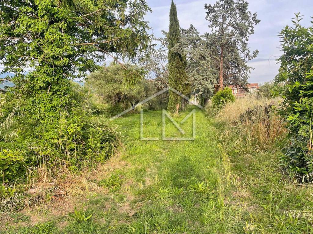 Villa a Sarzana in Via Alta Nuova, 47 - Foto 2
