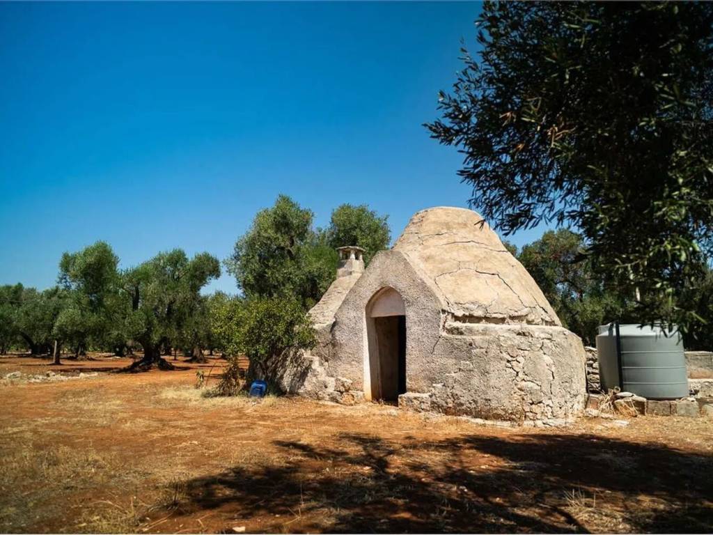 Rustico / casale a San michele salentino in Contrada Sardella S.N.C. - Foto 3