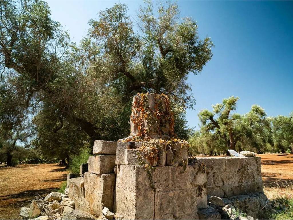 Rustico / casale a San michele salentino in Contrada Sardella S.N.C. - Foto 4