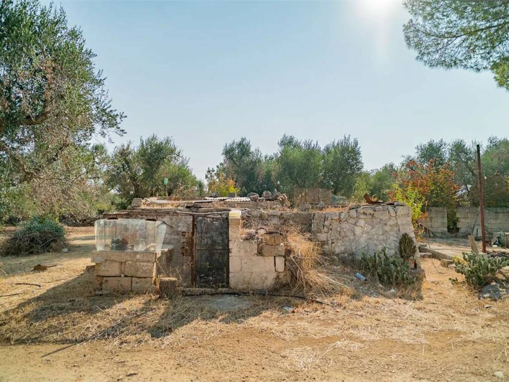 Rustico / casale a San michele salentino in Contrada Cotugni - Foto 3