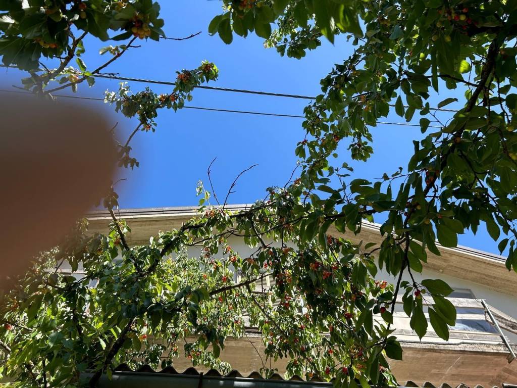 Villa a Pereto in Strada Provinciale del Cavaliere - Foto 4
