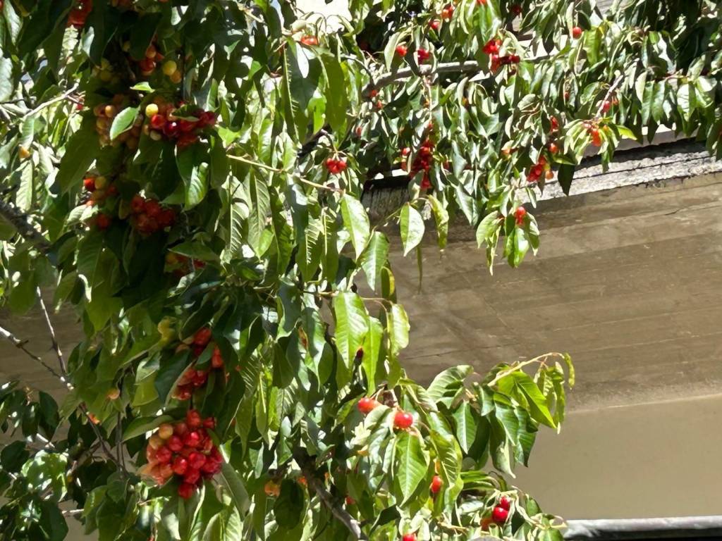 Villa a Pereto in Strada Provinciale del Cavaliere - Foto 5