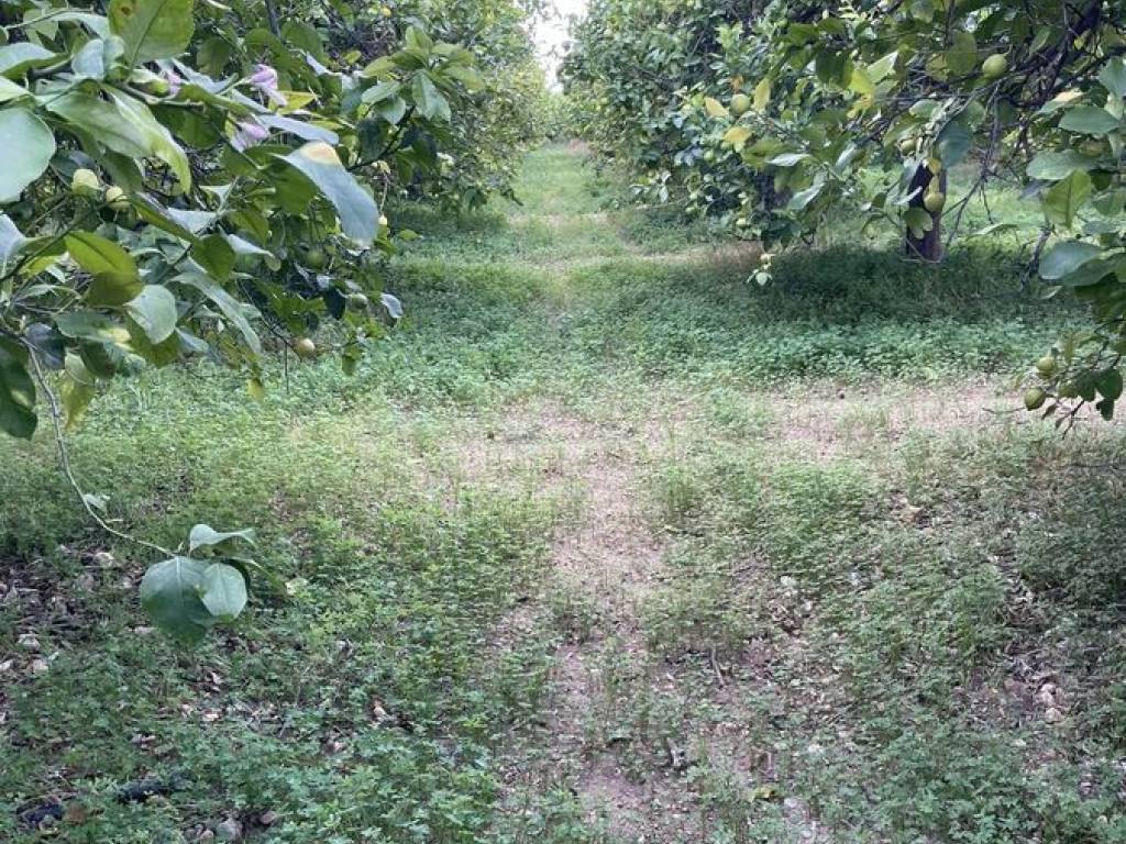 Terreno a Avola in Via Fangello - Foto 3