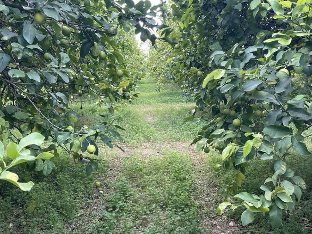 Terreno a Avola in Via Fangello - Foto 4