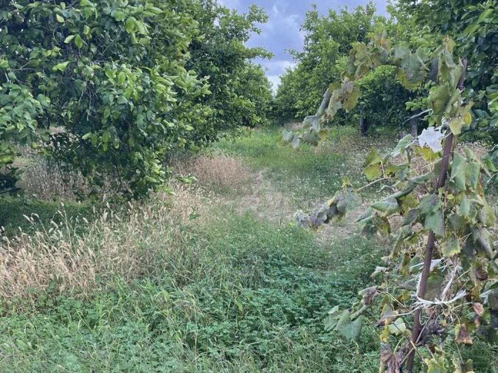 Terreno a Avola in Via Fangello - Foto 5