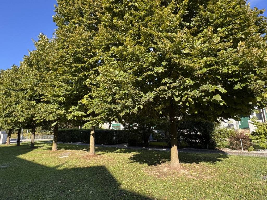 Appartamento a Noventa padovana in Noventa Padovana Via Tazzoli 35 - Foto 5