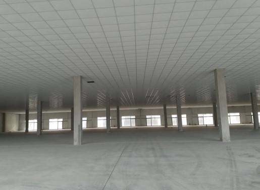 Immobile a Acquapendente in Viale Leonardo da Vinci - Foto 4