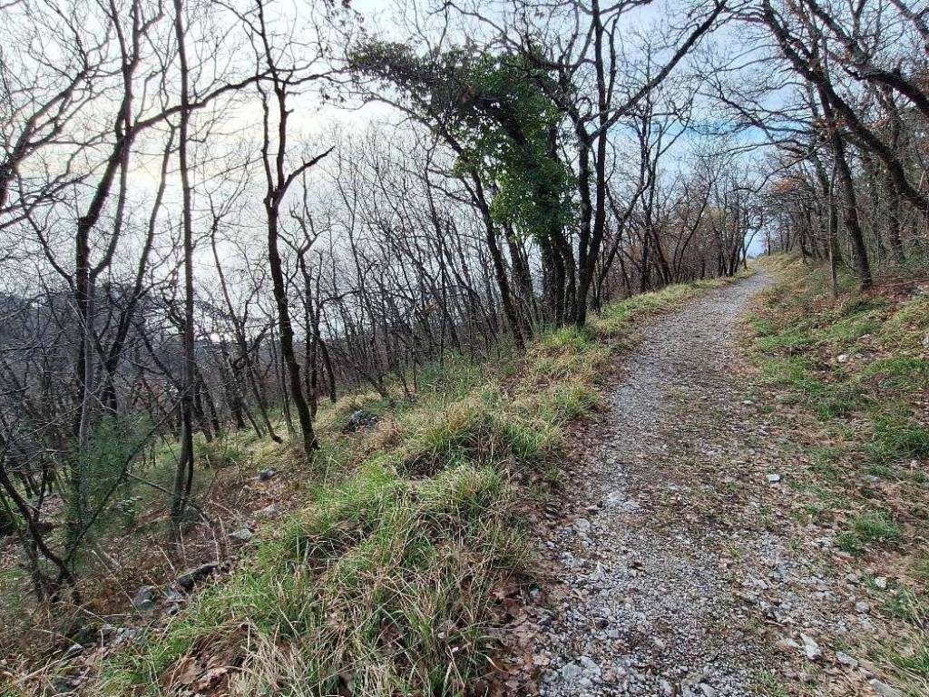 Terreno a Trieste in Località Prosecco - Foto 2