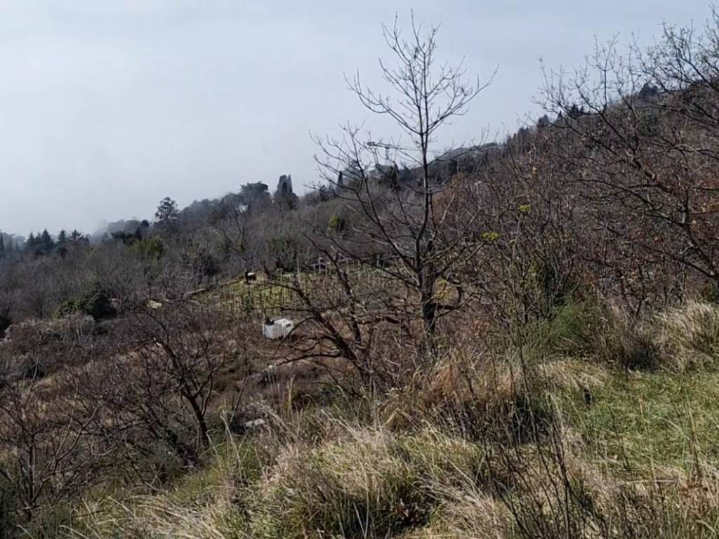 Terreno a Trieste in Località Prosecco - Foto 3