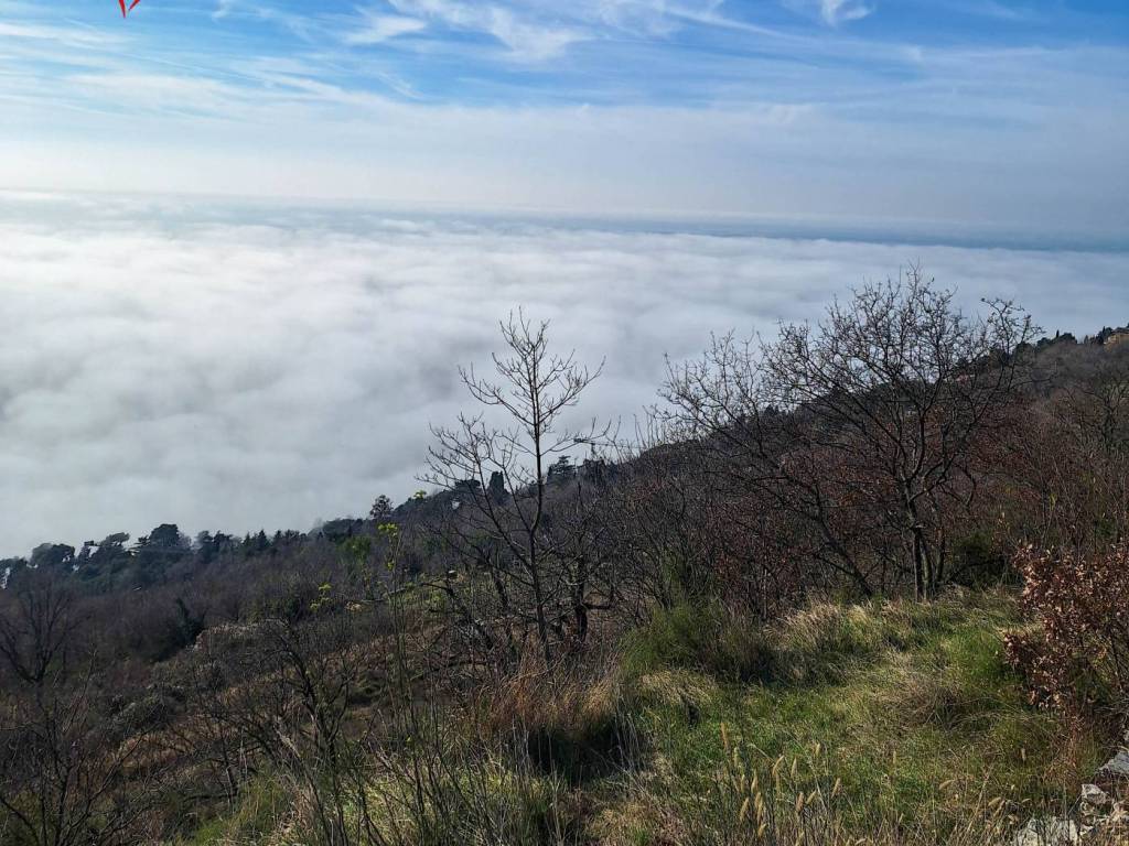 Terreno a Trieste in Località Prosecco - Foto 4