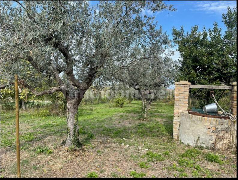 Rustico / casale a Vasto - Foto 4