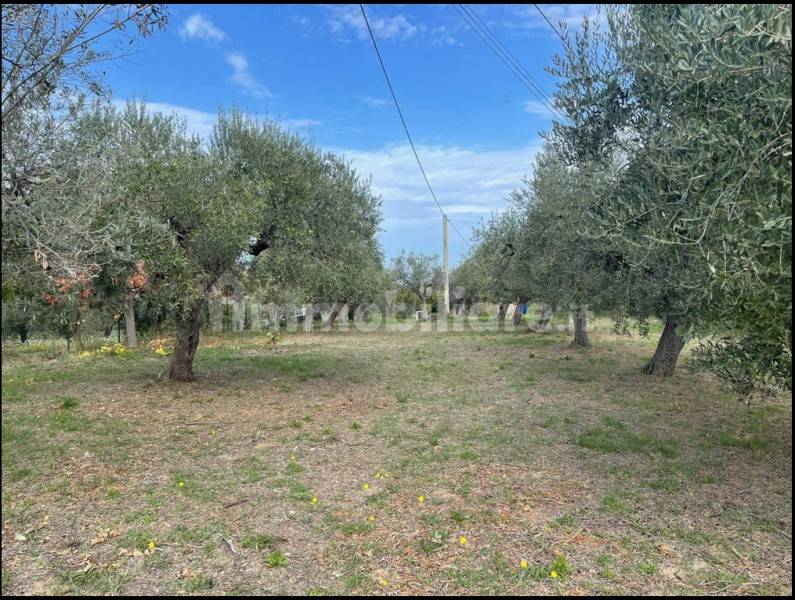Rustico / casale a Vasto - Foto 5