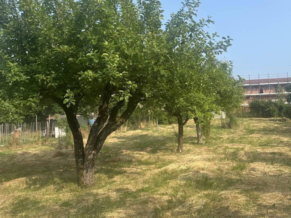 Terreno a Arquata scrivia - Foto 2