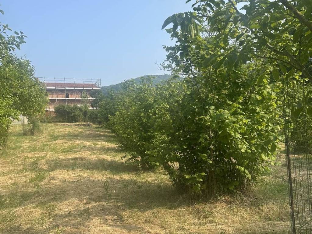 Terreno a Arquata scrivia - Foto 3