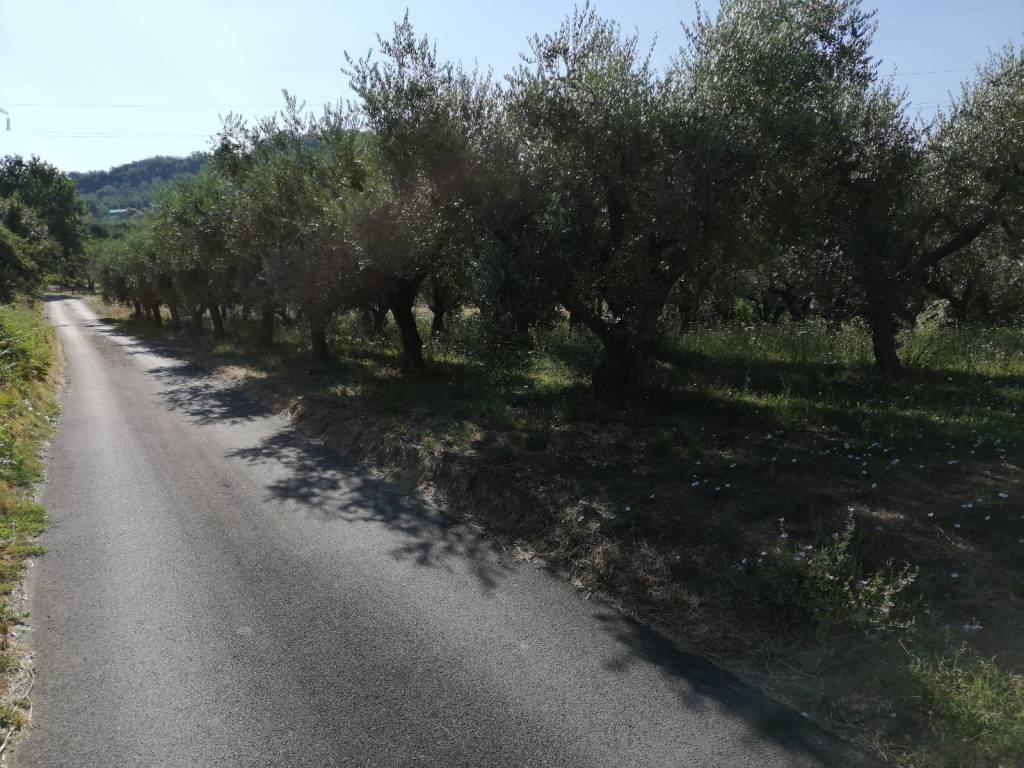 Terreno a San giovanni teatino in Via Sgarrone - Foto 2