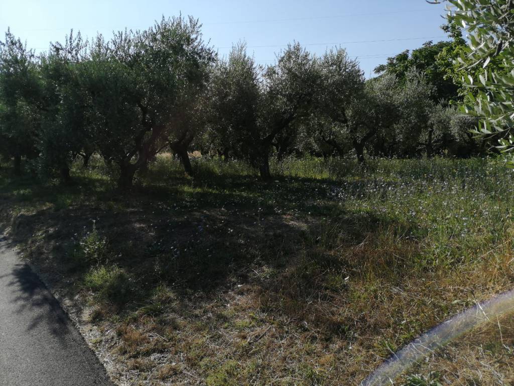 Terreno a San giovanni teatino in Via Sgarrone - Foto 3