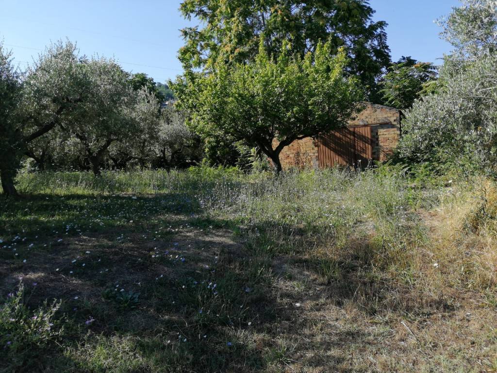 Terreno a San giovanni teatino in Via Sgarrone - Foto 4