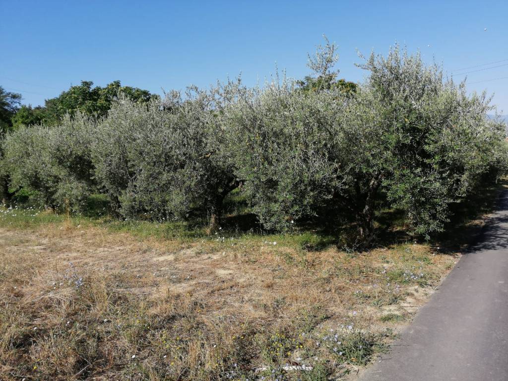 Terreno a San giovanni teatino in Via Sgarrone - Foto 5