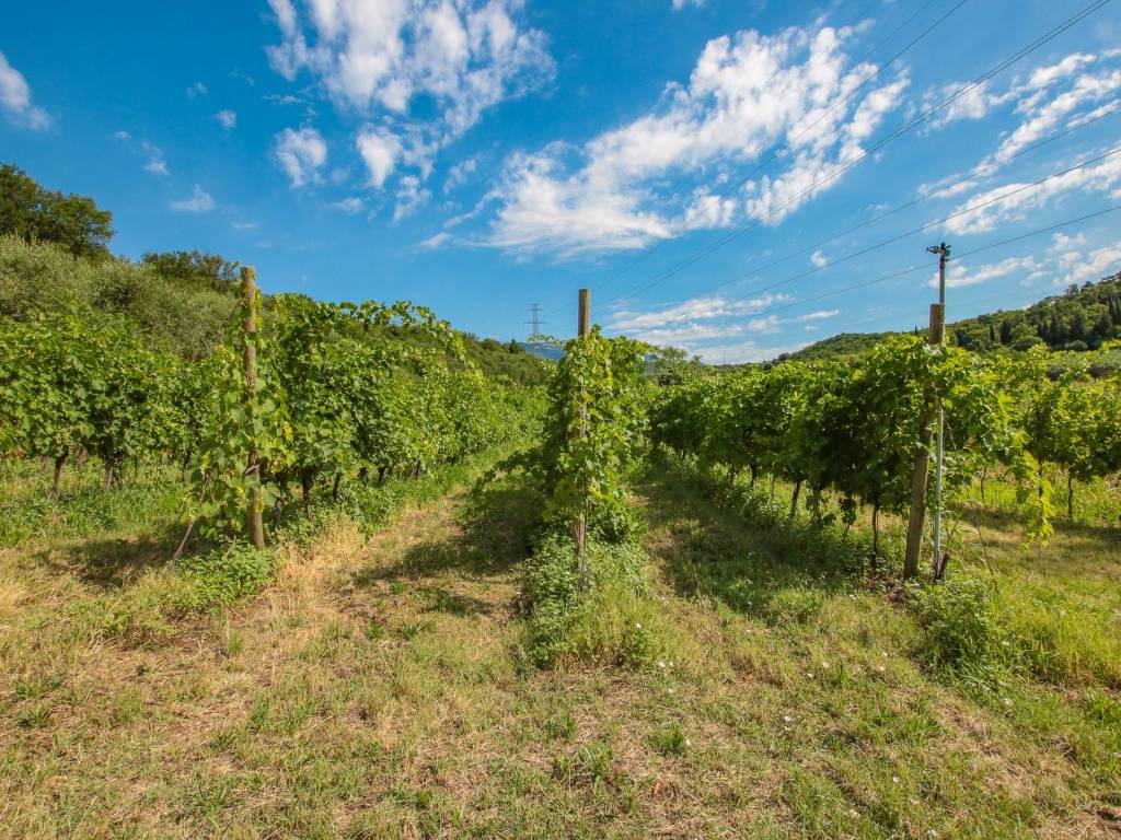 Terreno a Affi in Via Pigno - Foto 2