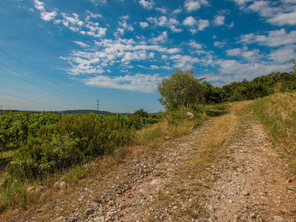 Terreno a Affi in Via Pigno - Foto 3