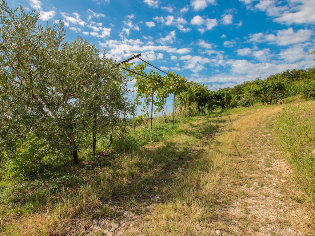 Terreno a Affi in Via Pigno - Foto 4