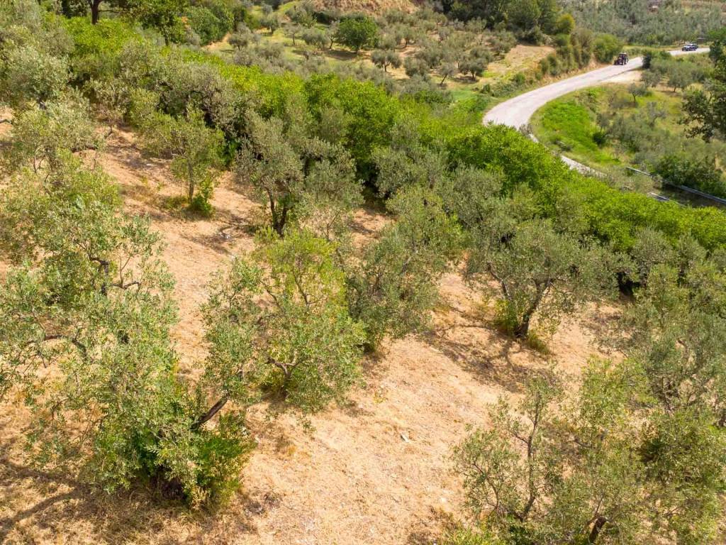 Terreno a Poggio moiano in Via Licinese - Foto 3