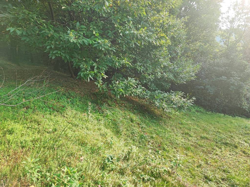 Terreno a Brovello-carpugnino in Via Circonvallazione - Foto 2