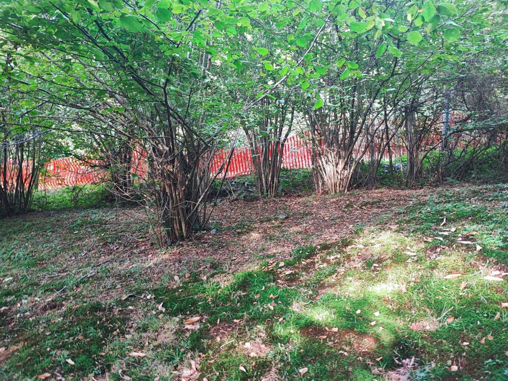 Terreno a Brovello-carpugnino in Via Circonvallazione - Foto 4
