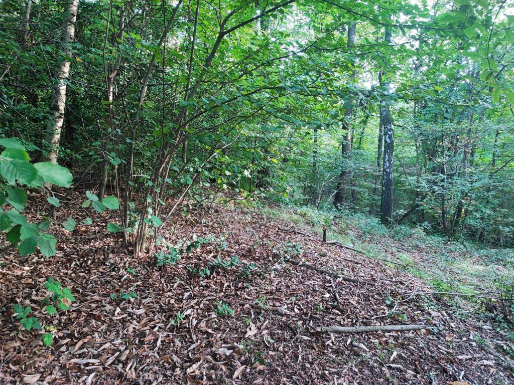 Terreno a Brovello-carpugnino in Via Circonvallazione - Foto 5