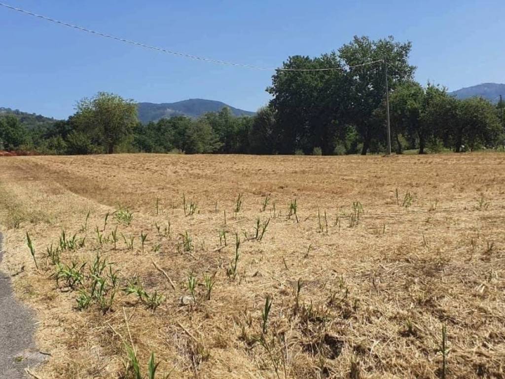 Terreno a Monsummano terme - Foto 2