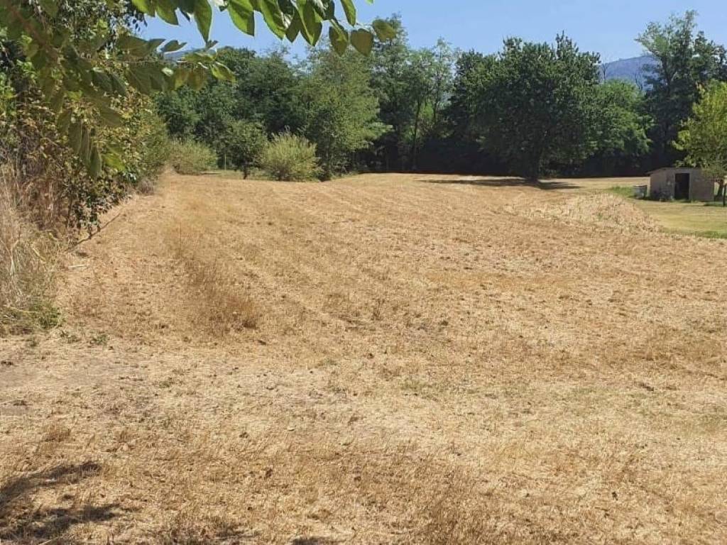 Terreno a Monsummano terme - Foto 3