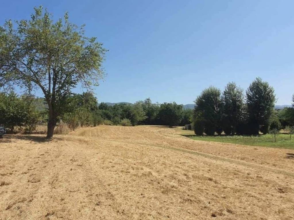 Terreno a Monsummano terme - Foto 4
