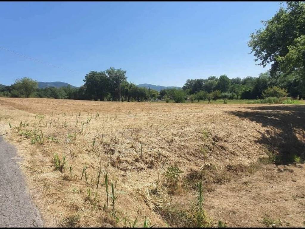 Terreno a Monsummano terme - Foto 5