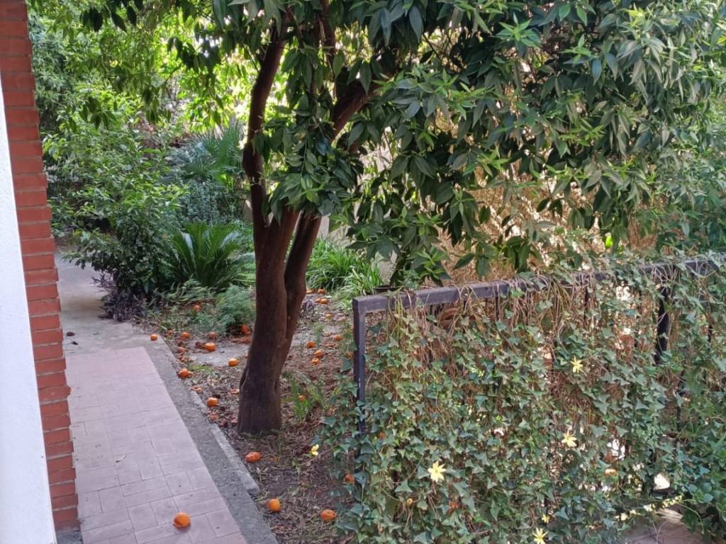 Villa a Cagliari in Via Giovanni Boccaccio - Foto 4