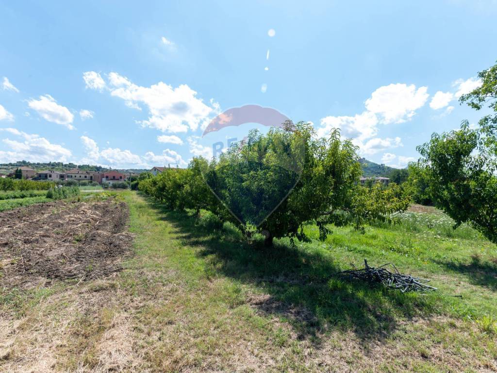 Rustico / casale a Monte roberto in via esino, 64 - Foto 4
