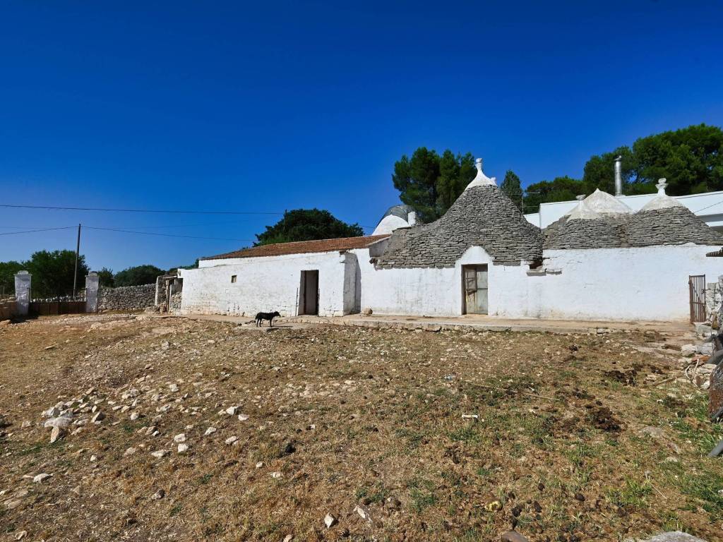 Rustico / casale a Alberobello - Foto 4