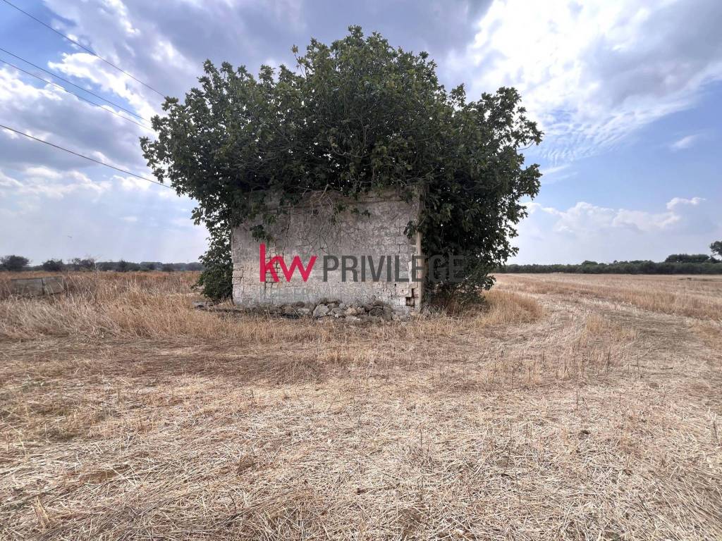 Terreno a Brindisi in Contrada Montenegro - Foto 4