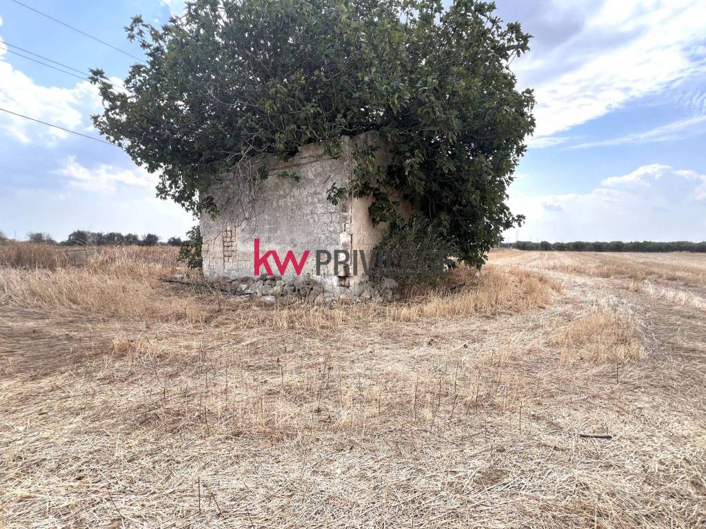 Terreno a Brindisi in Contrada Montenegro - Foto 5