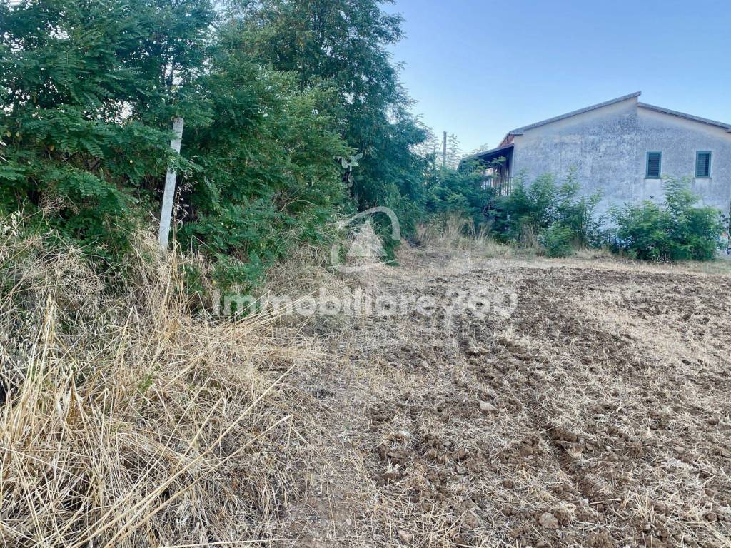 Terreno a Montalto uffugo in Via Benedetto Croce - Foto 3