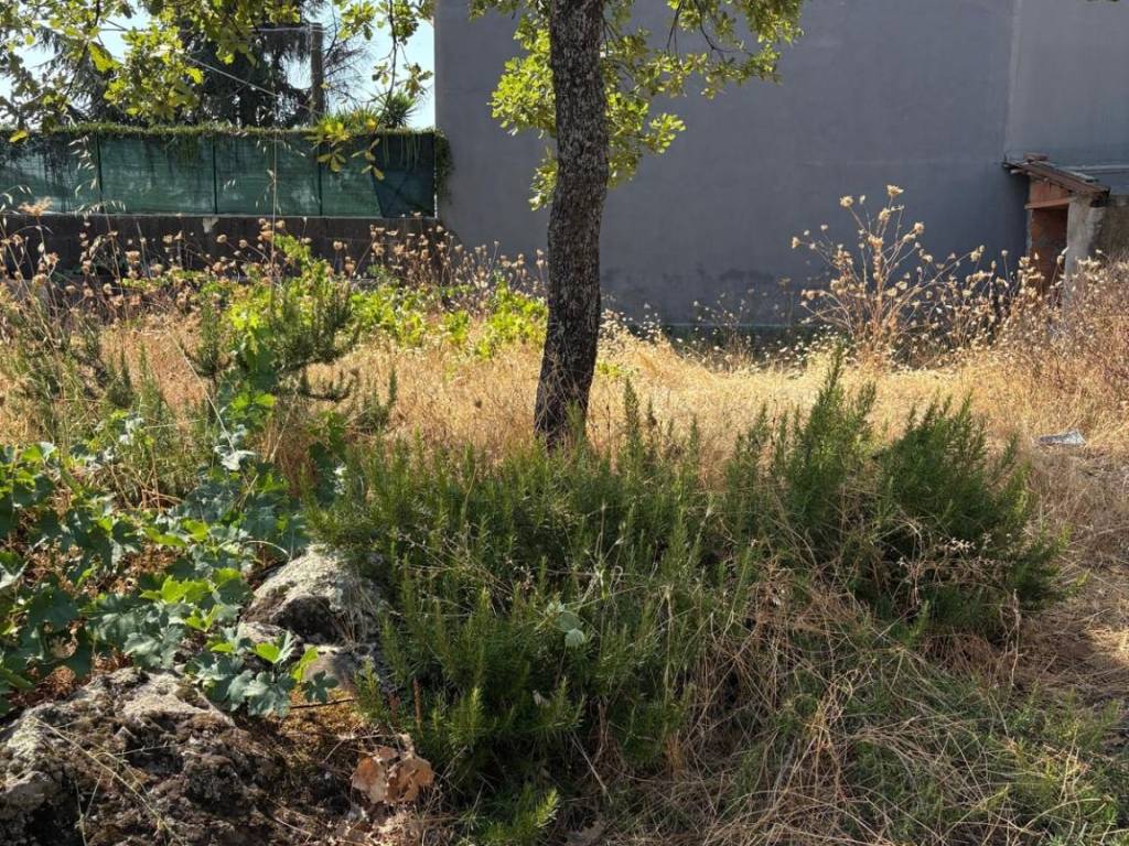 Terreno a Trecastagni in Via Michele Amari, 14 - Foto 2
