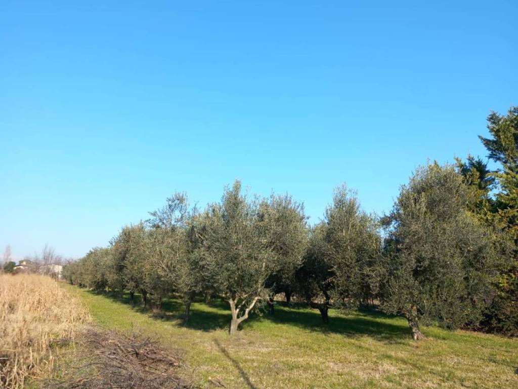 Terreno a Staranzano in Strada delle Acacie - Foto 3