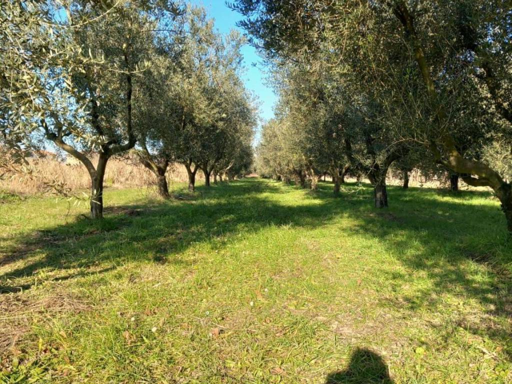 Terreno a Staranzano in Strada delle Acacie - Foto 4