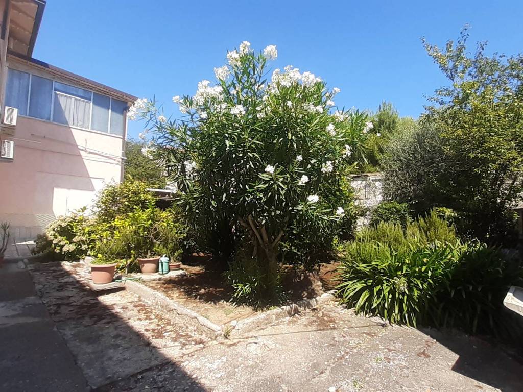Villa a Civitanova marche - Foto 5