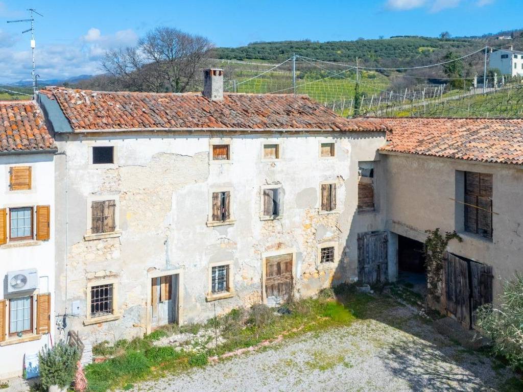 immagine di copertina