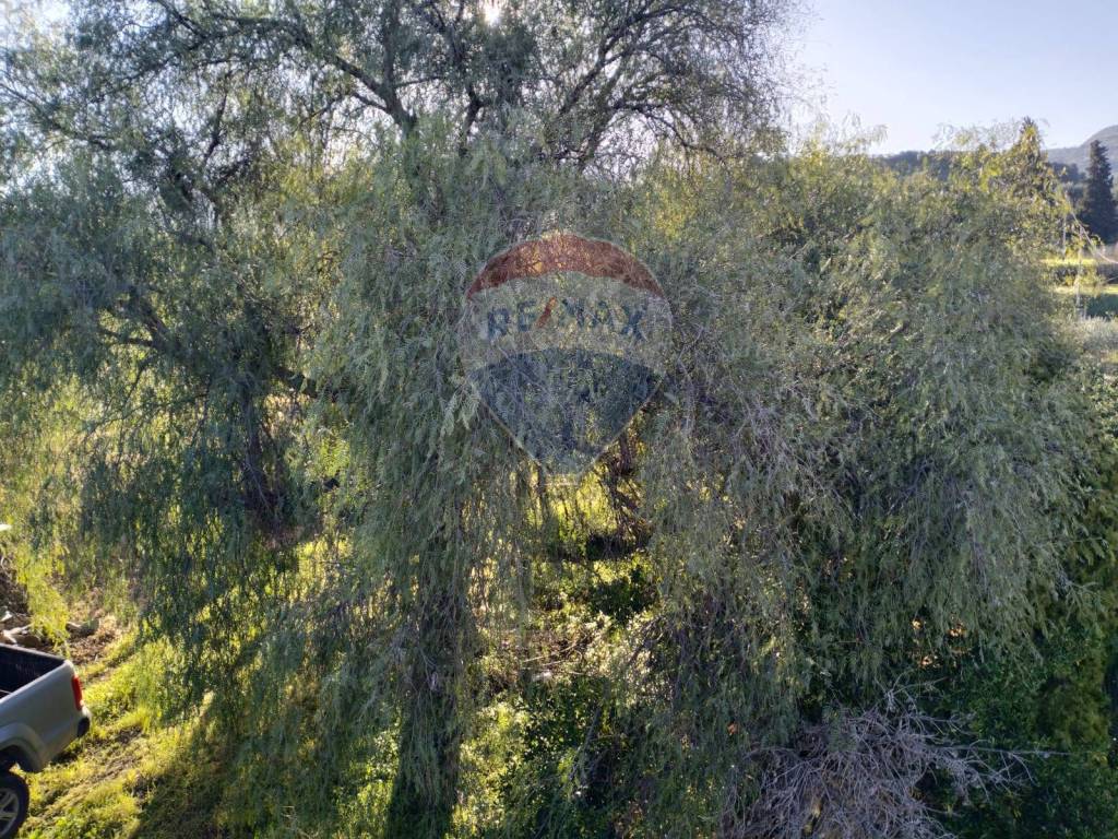 Terreno a Caltagirone in Contrada Rifugio - Foto 3