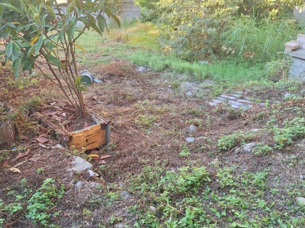 Rustico / casale a Cessaniti in Via Paradisoni - Foto 5