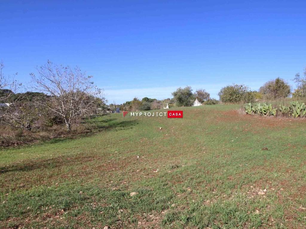Terreno a Martina franca in Contrada Padula Cappa - Foto 3