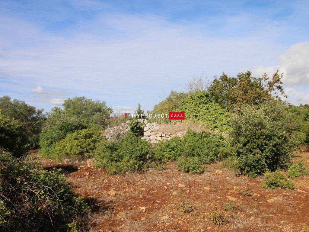 Rustico / casale a Martina franca - Foto 2