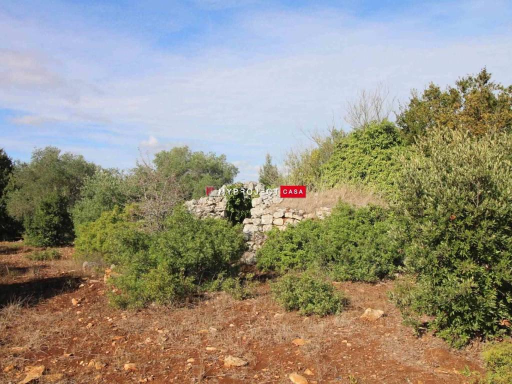 Rustico / casale a Martina franca - Foto 3
