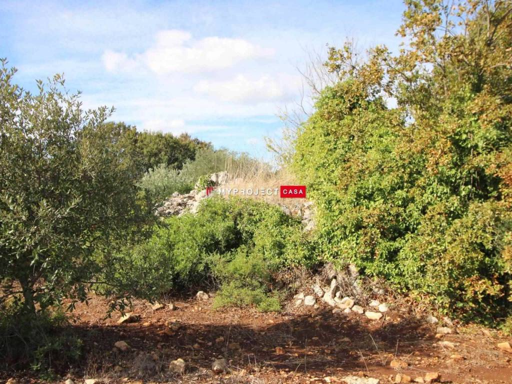 Rustico / casale a Martina franca - Foto 4